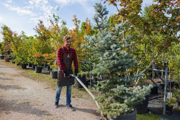 Best Tree Trimming and Pruning  in Litchfield Beach, SC